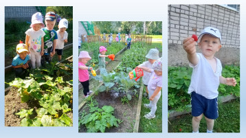 МАЛЕНЬКИЕ ОГОРОДНИКИ МАЛЕНЬКИЕ ОГОРОДНИКИ.