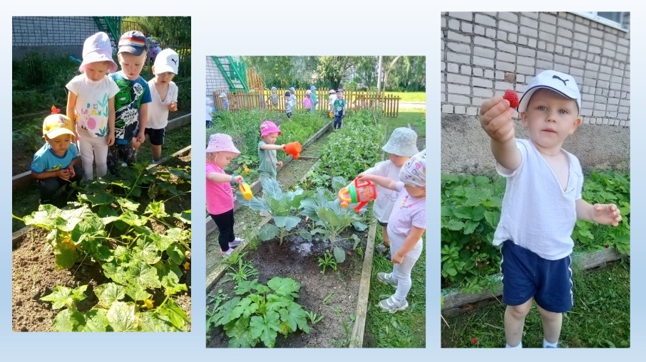 МАЛЕНЬКИЕ ОГОРОДНИКИ МАЛЕНЬКИЕ ОГОРОДНИКИ.